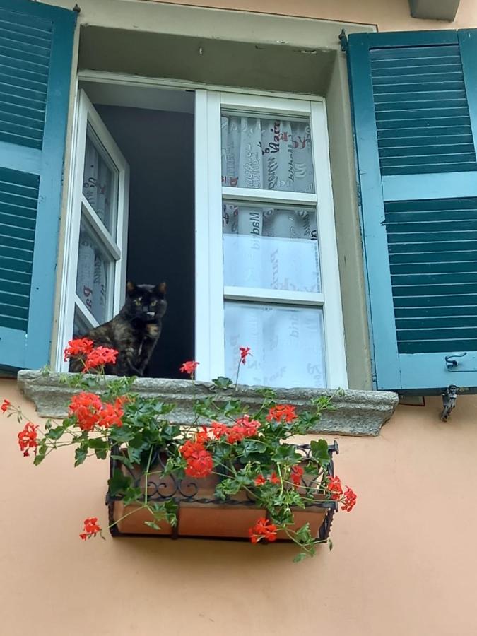 B&B Isoladelsole 페를레도 외부 사진